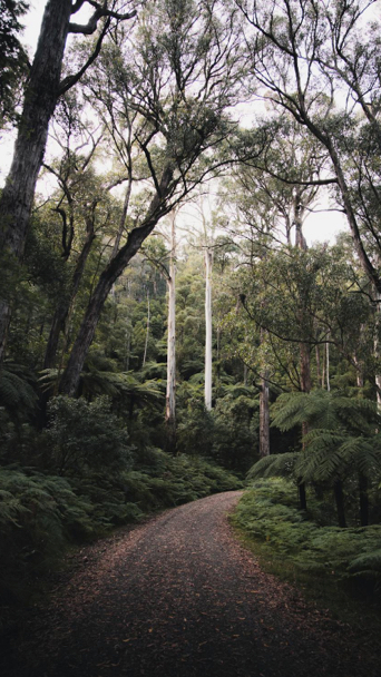 Australian Outback