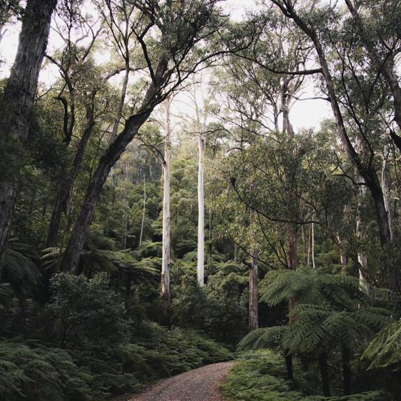 Australian Outback