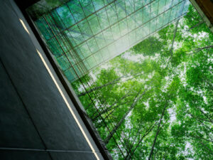 Beyond compliance: Unlocking business value through climate disclosures