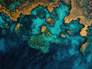 From estimation to verification: Why carbon savings need independent validation